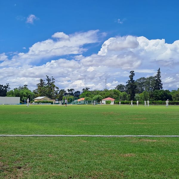 Senior Cricket Festival Kicks Off Graaff Reinet Advertiser