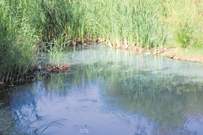 Inwoners mor oor rioolreuk in rivier