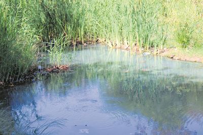 Inwoners mor oor rioolreuk in rivier