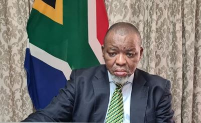 Power crisis: FF Plus says Mantashe is not the right man for the job 