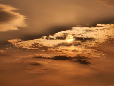Sun seeker