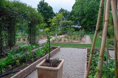 George Open Gardens this Saturday