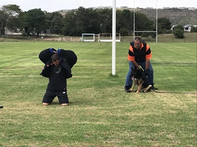 Crime fighters put to the test