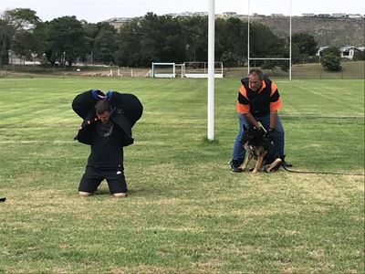 Crime fighters put to the test
