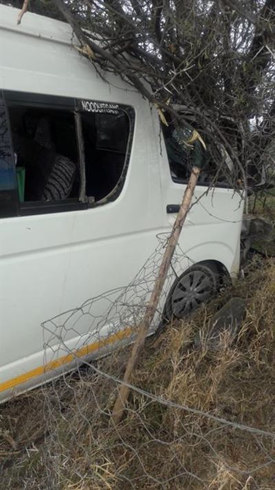 Taxi with Golden Game players collide with tree