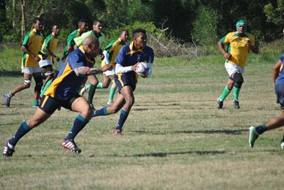 Hungry Lions en Garden Route in gelykop stryd
