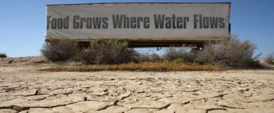 Western Cape agriculture set to lose billions