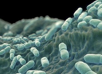George woman one of listeriosis fatalities