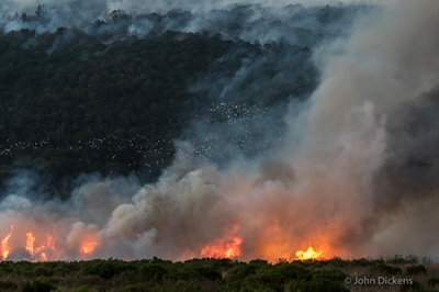 Wildfire victims benefit concert