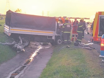 10 horses killed on our roads this year