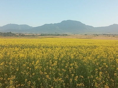 Beekeeping farmers' day