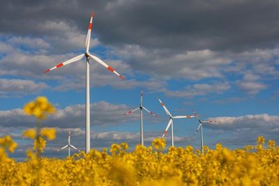 Farmers can help keep the lights on