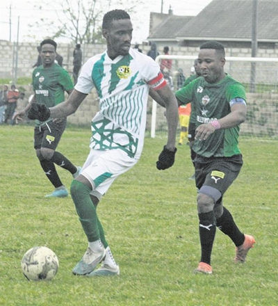 Birds reach next round