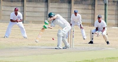 Junior players included in the exciting Last Man Standing cricket series