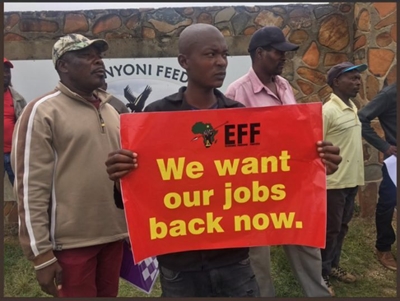 EFF protest against ‘unfair dismissals’ at Ramaphosa’s farm