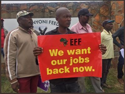 EFF protest against ‘unfair dismissals’ at Ramaphosa’s farm