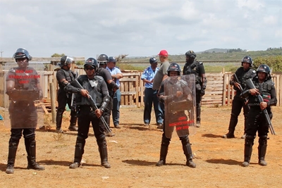 Pig Farm targeted by Red Ants