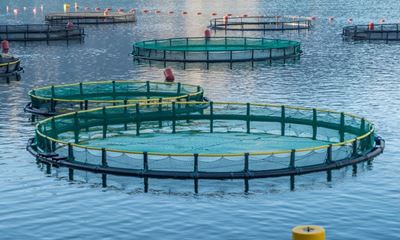 Which fish should be farmed in SA, and where?