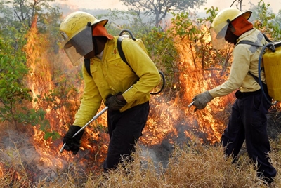 Working on Fire employees no longer in the firing line