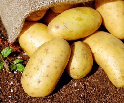 Potato and onion prices see major spike as load-shedding bites 