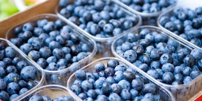 It can take 17 years to get the green light to export fruit 