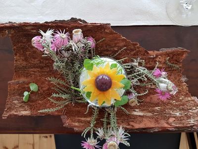 The final roundup of what’s on at The Plant Powered Show!