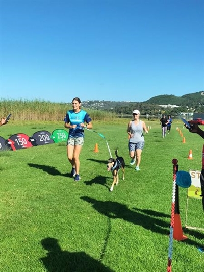 Knysna Parkrun celebrates 10 years