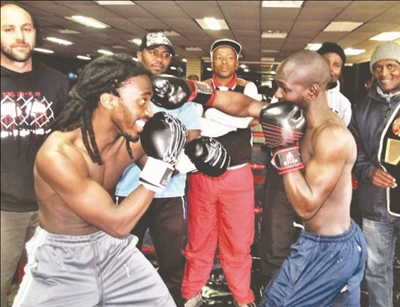 First class boxing booked for sport