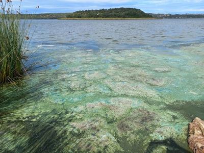 Island Lake reopened 