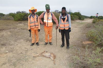 Dooie bokke bekommer inwoners