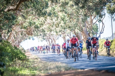 Road Closures: Cape Town Cycle Tour