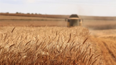 Global food security crisis: Somalia on the verge of catastrophic famine