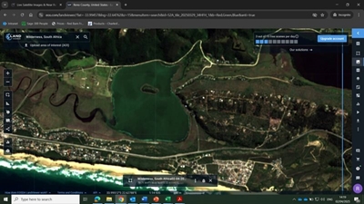 Ongoing blue-green algal bloom at Island Lake