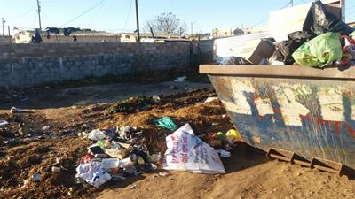 Asla Park clean-up begins