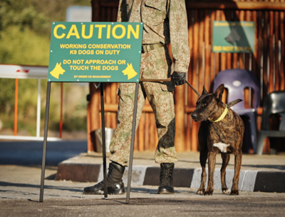 Get to know the K9s that help keep SA’s wild animals safe