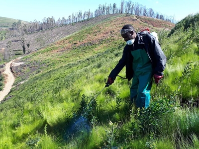 Help for landowners in fight against aliens