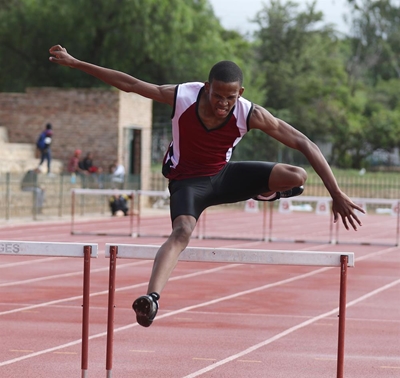 17 eerste plekke vir Struisies 