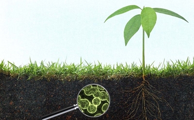 Growing a variety of soil microbes