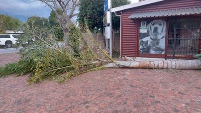 Inclement weather and emergency incidents in George