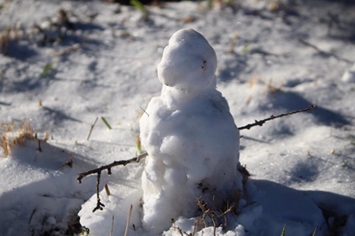 Snowfall expected tonight 