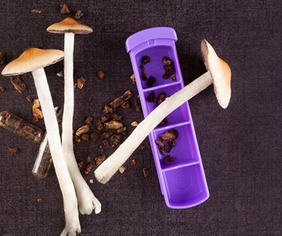 Arrest over magic mushrooms challenged in court