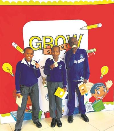 Young mathematicians advance to provincials