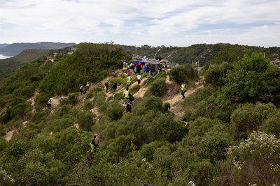 Dunes-project launched