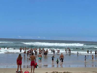 Swimmers get surprise visit from dolphins
