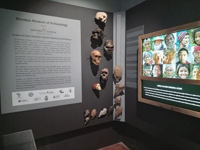 Wêreldklas uitstalling vir Blombos Museum