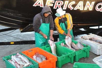 As die vis byt moet jy skep