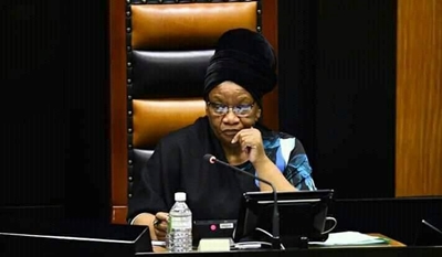 Thandi Modise to head ANCWL task team