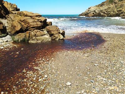 Dead Meul River still outlet for raw sewage