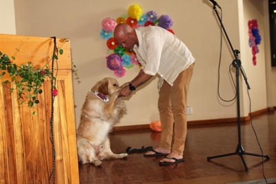 Ladies' high tea for SPCA