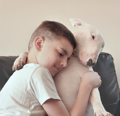 Your pets can’t give you Covid-19